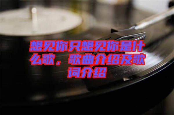 想見你只想見你是什么歌，歌曲介紹及歌詞介紹