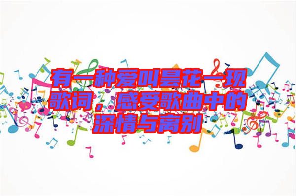 有一種愛(ài)叫曇花一現(xiàn)歌詞，感受歌曲中的深情與離別