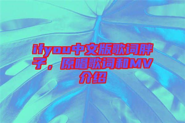 ifyou中文版歌詞胖子，原唱歌詞和MV介紹