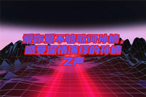 愛你愛不夠歌詞孫楠，感受深情演繹的孫楠之聲