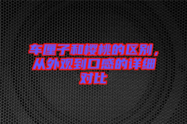 車?yán)遄雍蜋烟业膮^(qū)別，從外觀到口感的詳細(xì)對比