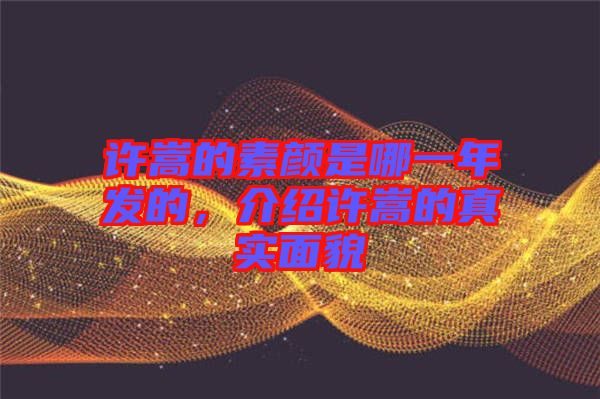 許嵩的素顏是哪一年發(fā)的，介紹許嵩的真實(shí)面貌