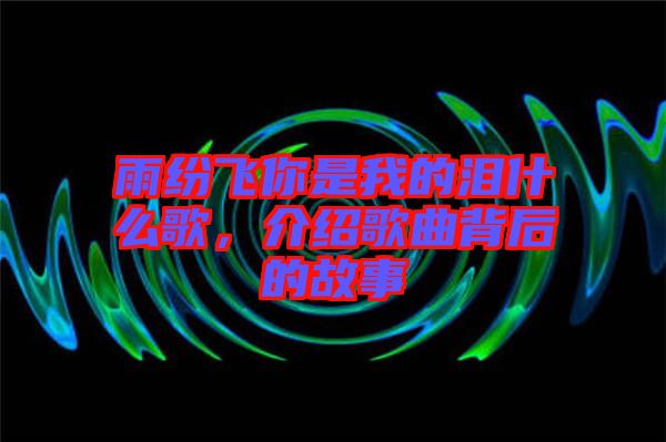 雨紛飛你是我的淚什么歌，介紹歌曲背后的故事