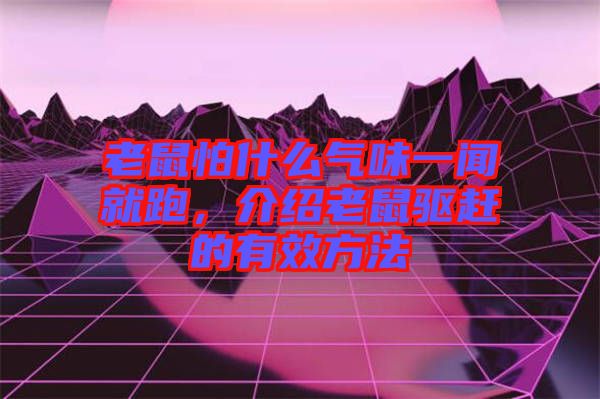 老鼠怕什么氣味一聞就跑，介紹老鼠驅(qū)趕的有效方法