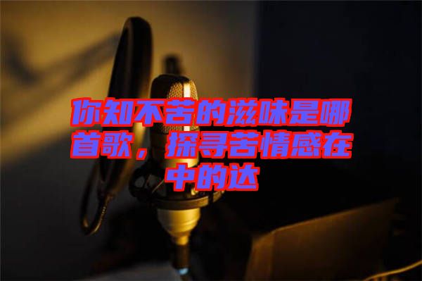 你知不苦的滋味是哪首歌，探尋苦情感在中的達