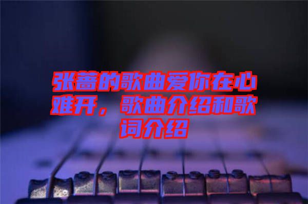 張薔的歌曲愛(ài)你在心難開(kāi)，歌曲介紹和歌詞介紹