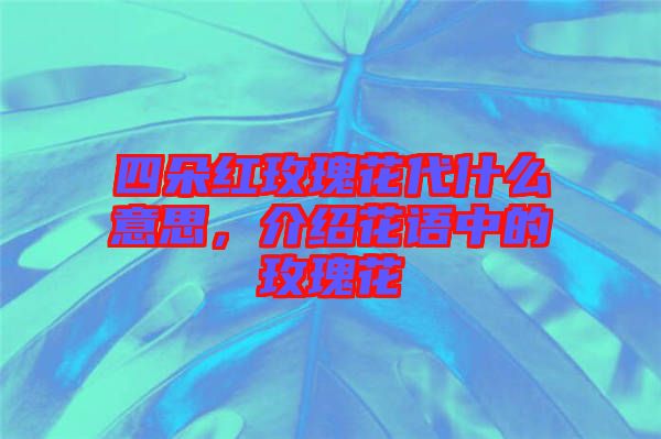 四朵紅玫瑰花代什么意思，介紹花語(yǔ)中的玫瑰花