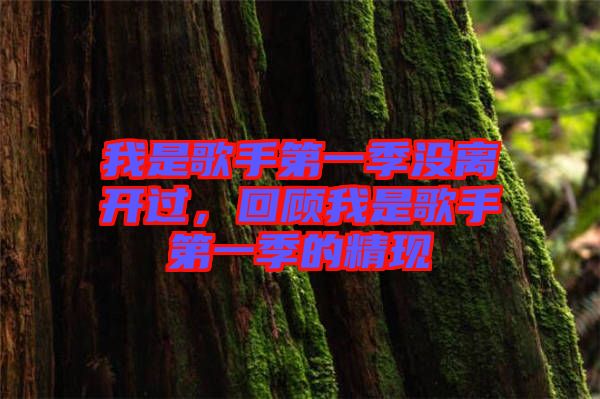 我是歌手第一季沒離開過，回顧我是歌手第一季的精現(xiàn)