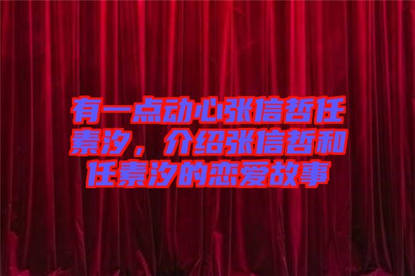 有一點動心張信哲任素汐，介紹張信哲和任素汐的戀愛故事