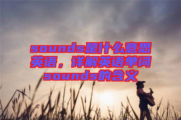 sounds是什么意思英語(yǔ)，詳解英語(yǔ)單詞sounds的含義