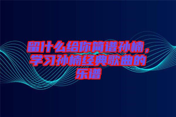 留什么給你簡譜孫楠，學(xué)習(xí)孫楠經(jīng)典歌曲的樂譜