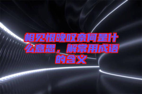 相見恨晚嘆奈何是什么意思，解常用成語的含義