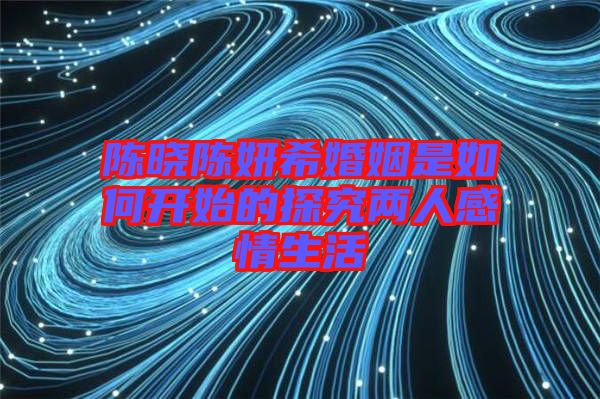 陳曉陳妍?；橐鍪侨绾伍_始的探究?jī)扇烁星樯? width=