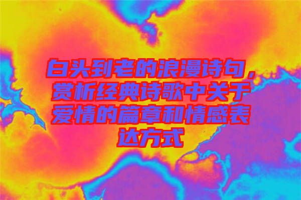 白頭到老的浪漫詩(shī)句，賞析經(jīng)典詩(shī)歌中關(guān)于愛情的篇章和情感表達(dá)方式