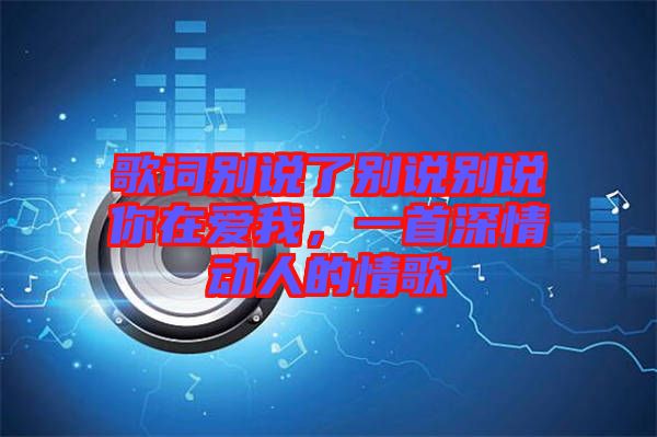 歌詞別說了別說別說你在愛我，一首深情動人的情歌