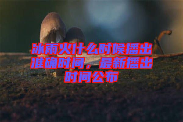 冰雨火什么時候播出準確時間，最新播出時間公布