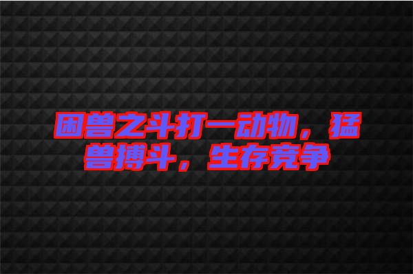 困獸之斗打一動物，猛獸搏斗，生存競爭