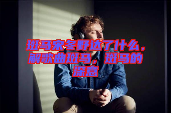 斑馬宋冬野達了什么，解歌曲斑馬，斑馬的深意