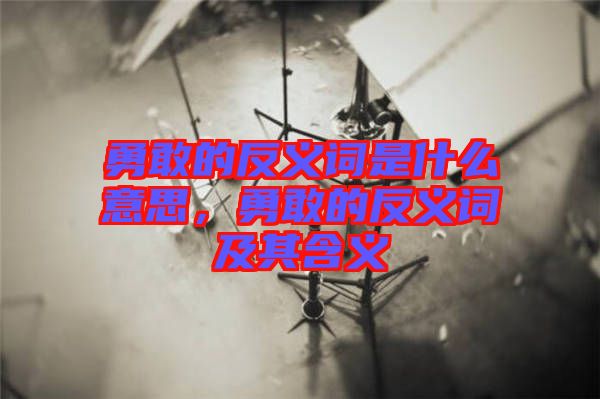 勇敢的反義詞是什么意思，勇敢的反義詞及其含義