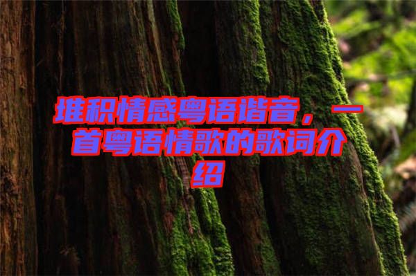 堆積情感粵語諧音，一首粵語情歌的歌詞介紹