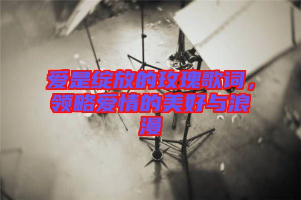 愛是綻放的玫瑰歌詞，領(lǐng)略愛情的美好與浪漫