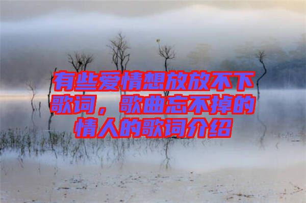 有些愛情想放放不下歌詞，歌曲忘不掉的情人的歌詞介紹