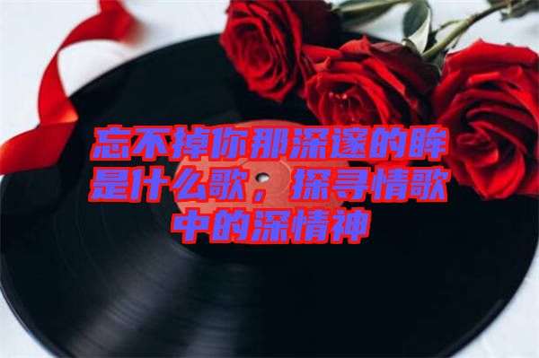 忘不掉你那深邃的眸是什么歌，探尋情歌中的深情神