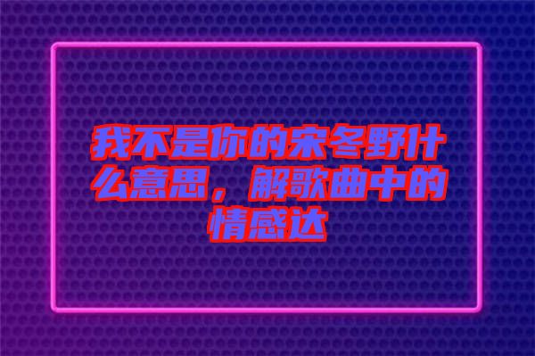 我不是你的宋冬野什么意思，解歌曲中的情感達