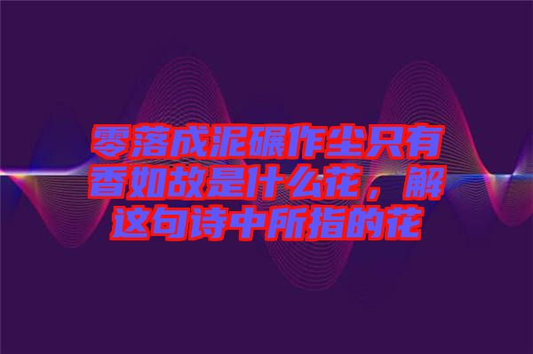 零落成泥碾作塵只有香如故是什么花，解這句詩中所指的花