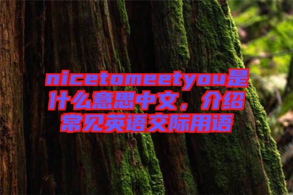 nicetomeetyou是什么意思中文，介紹常見英語交際用語