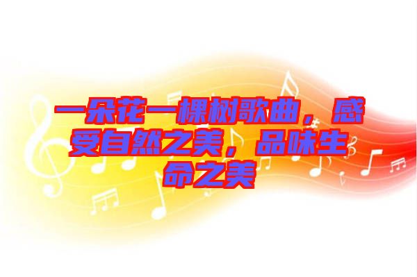 一朵花一棵樹歌曲，感受自然之美，品味生命之美