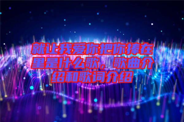 就讓我愛(ài)你把你捧在里是什么歌，歌曲介紹和歌詞介紹