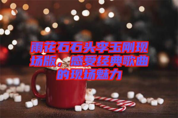 雨花石石頭李玉剛現(xiàn)場(chǎng)版，感受經(jīng)典歌曲的現(xiàn)場(chǎng)魅力