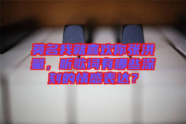 莫名我就喜歡你張洪量，聽歌詞有哪些深刻的情感表達(dá)？