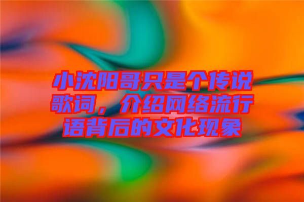 小沈陽哥只是個傳說歌詞，介紹網絡流行語背后的文化現象