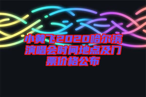 小黃飛2020哈爾濱演唱會時間地點(diǎn)及門票價格公布