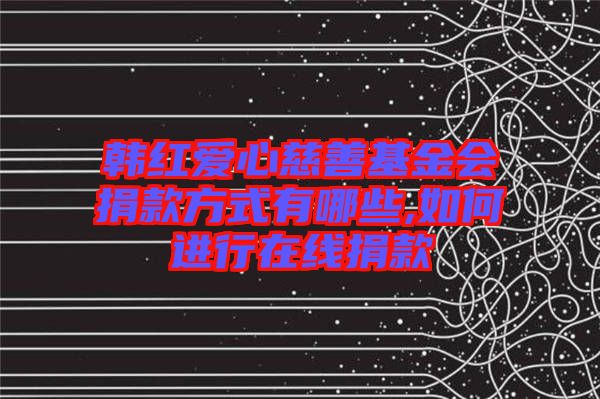 韓紅愛心慈善基金會捐款方式有哪些,如何進行在線捐款