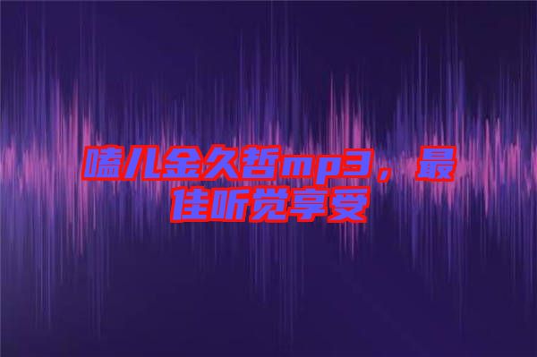 嗑兒金久哲mp3，最佳聽覺享受