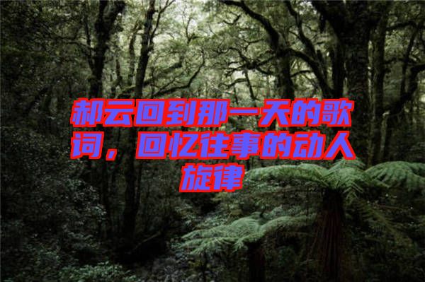 郝云回到那一天的歌詞，回憶往事的動人旋律