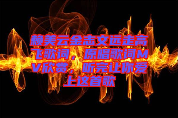 賴美云金志文遠走高飛歌詞，原唱歌詞MV欣賞，聽完讓你愛上這首歌