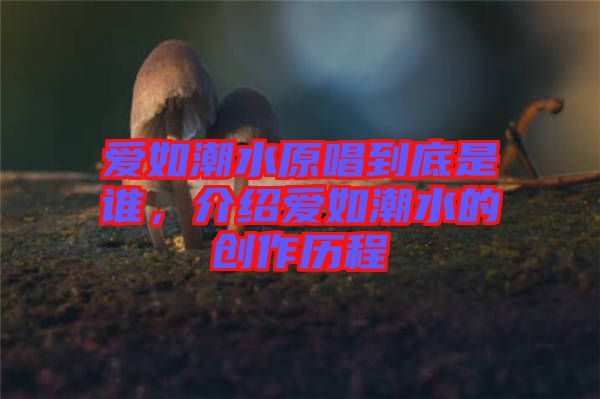 愛如潮水原唱到底是誰，介紹愛如潮水的創(chuàng)作歷程