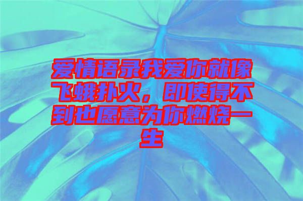 愛情語錄我愛你就像飛蛾撲火，即使得不到也愿意為你燃燒一生