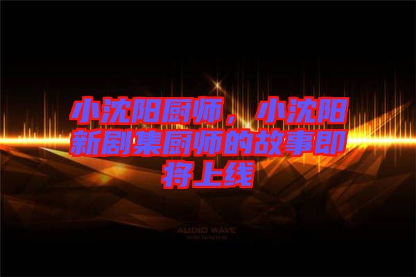 小沈陽廚師，小沈陽新劇集廚師的故事即將上線