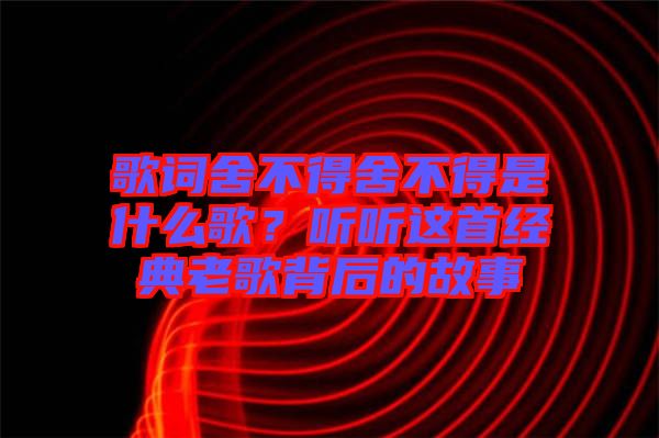 歌詞舍不得舍不得是什么歌？聽聽這首經(jīng)典老歌背后的故事