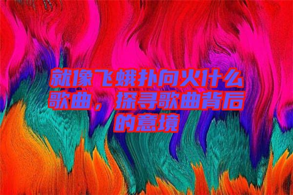 就像飛蛾撲向火什么歌曲，探尋歌曲背后的意境