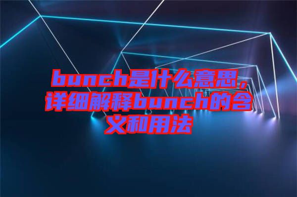 bunch是什么意思，詳細(xì)解釋bunch的含義和用法