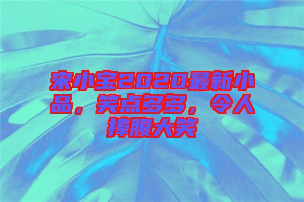 宋小寶2020最新小品，笑點(diǎn)多多，令人捧腹大笑