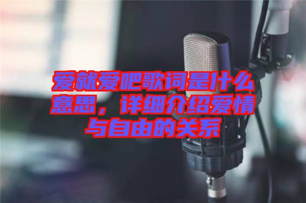 愛就愛吧歌詞是什么意思，詳細介紹愛情與自由的關(guān)系