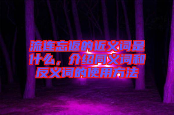 流連忘返的近義詞是什么，介紹同義詞和反義詞的使用方法