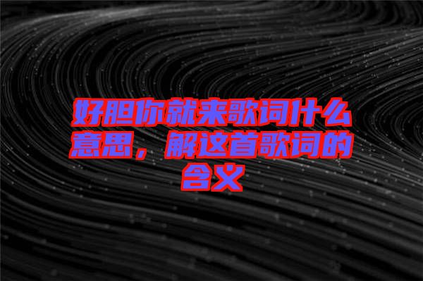 好膽你就來歌詞什么意思，解這首歌詞的含義